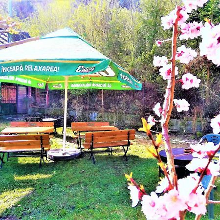 Leyla Guesthouse Castel براشوف المظهر الخارجي الصورة