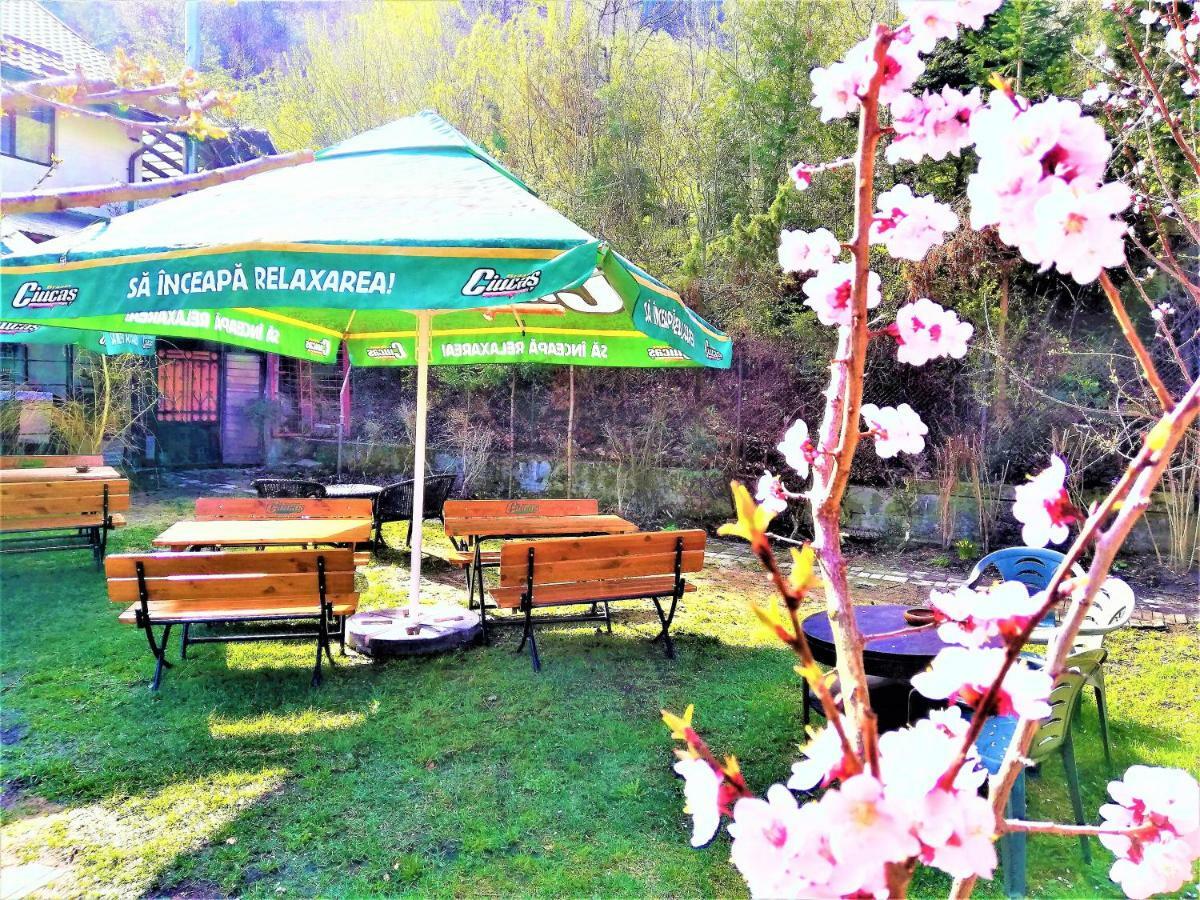 Leyla Guesthouse Castel براشوف المظهر الخارجي الصورة