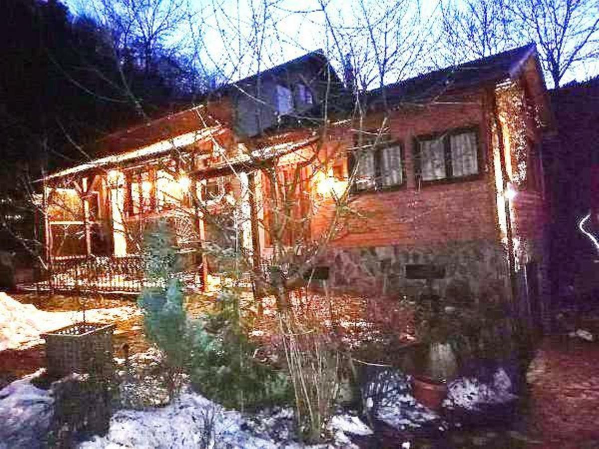 Leyla Guesthouse Castel براشوف المظهر الخارجي الصورة