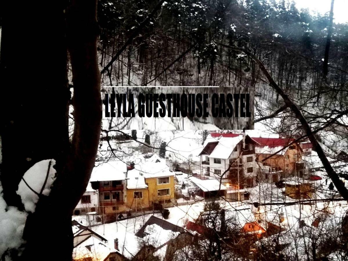 Leyla Guesthouse Castel براشوف المظهر الخارجي الصورة
