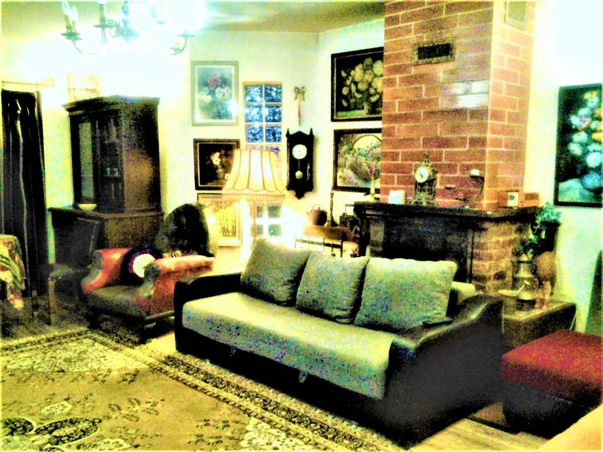 Leyla Guesthouse Castel براشوف المظهر الخارجي الصورة