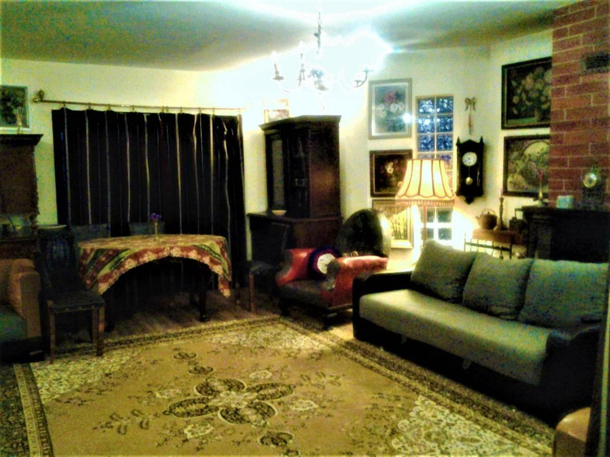 Leyla Guesthouse Castel براشوف المظهر الخارجي الصورة