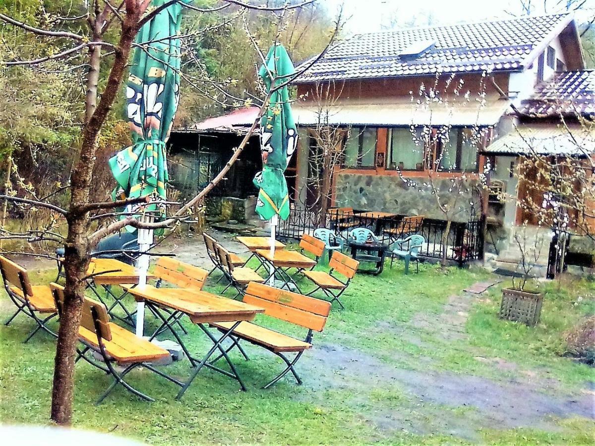 Leyla Guesthouse Castel براشوف المظهر الخارجي الصورة