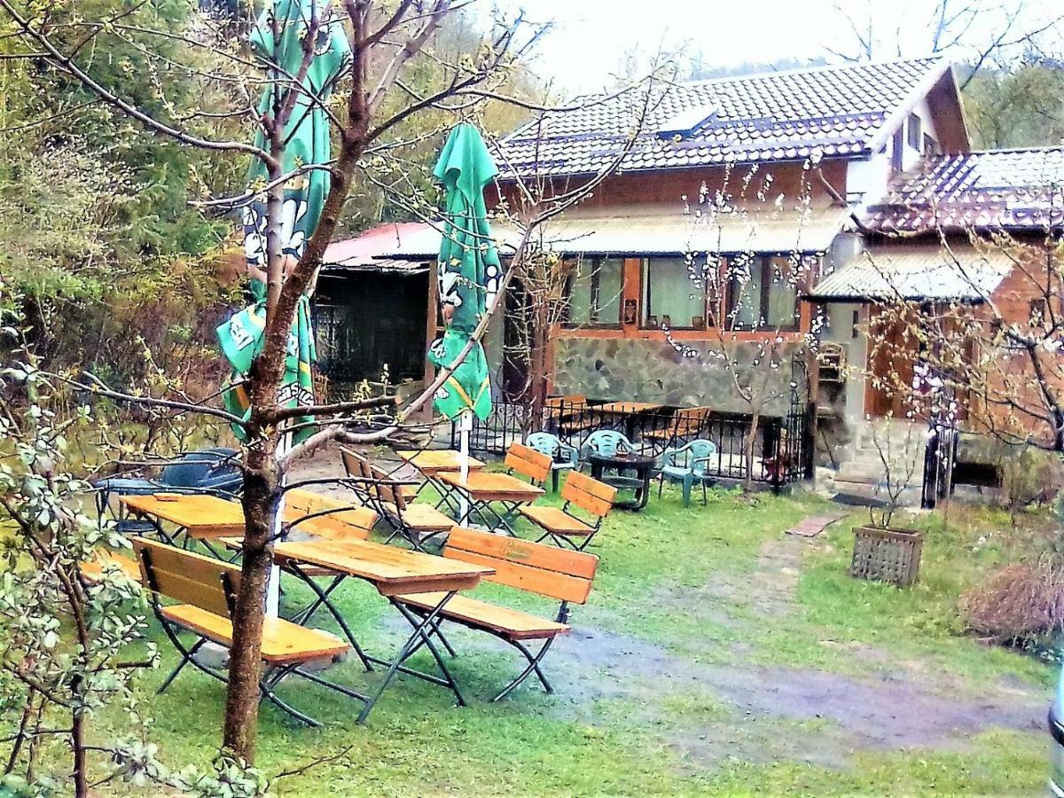 Leyla Guesthouse Castel براشوف المظهر الخارجي الصورة