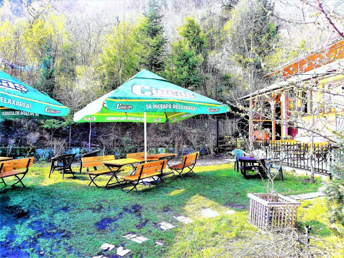 Leyla Guesthouse Castel براشوف المظهر الخارجي الصورة