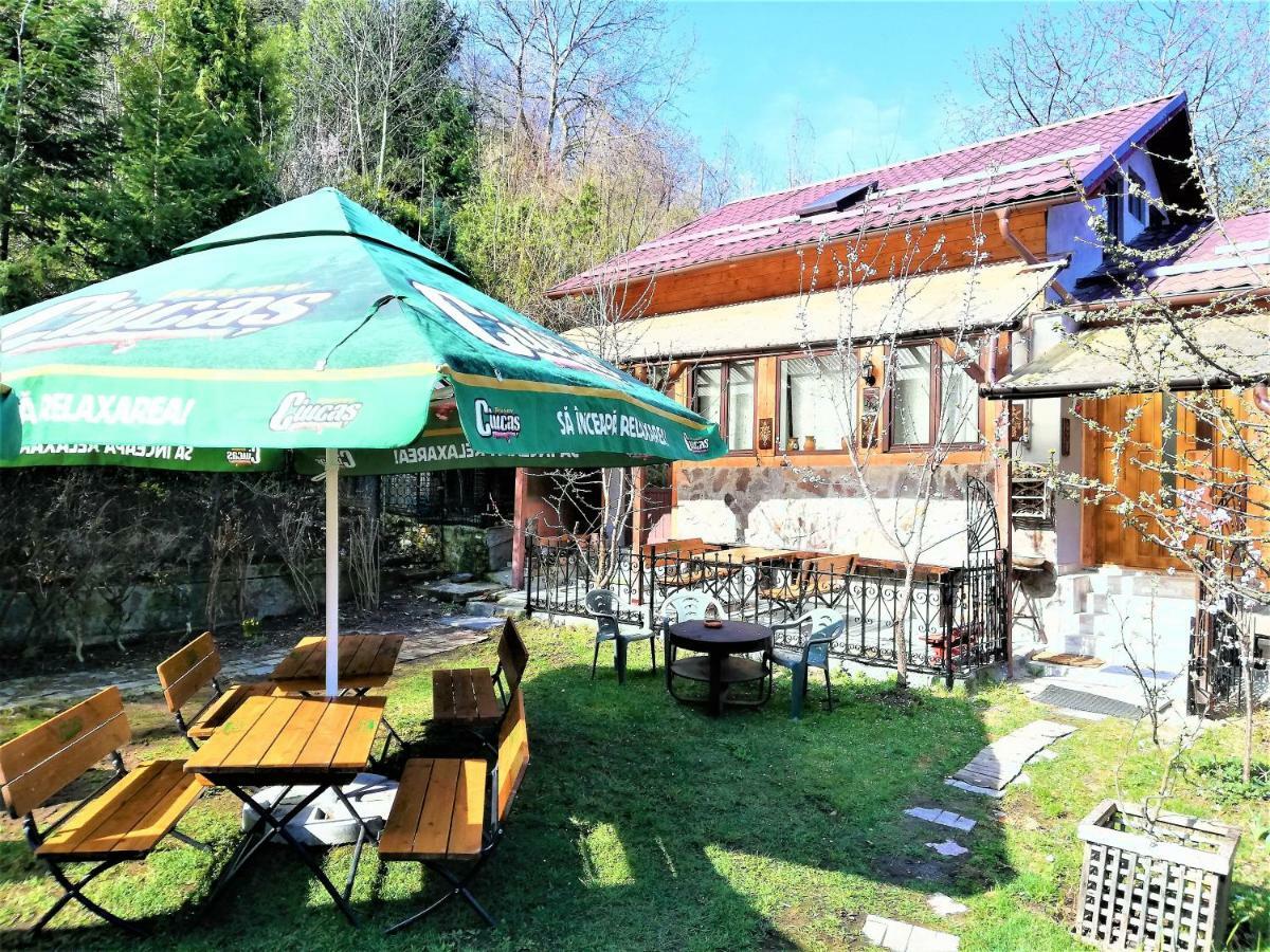 Leyla Guesthouse Castel براشوف المظهر الخارجي الصورة