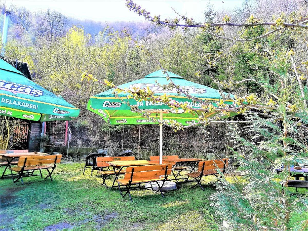 Leyla Guesthouse Castel براشوف المظهر الخارجي الصورة