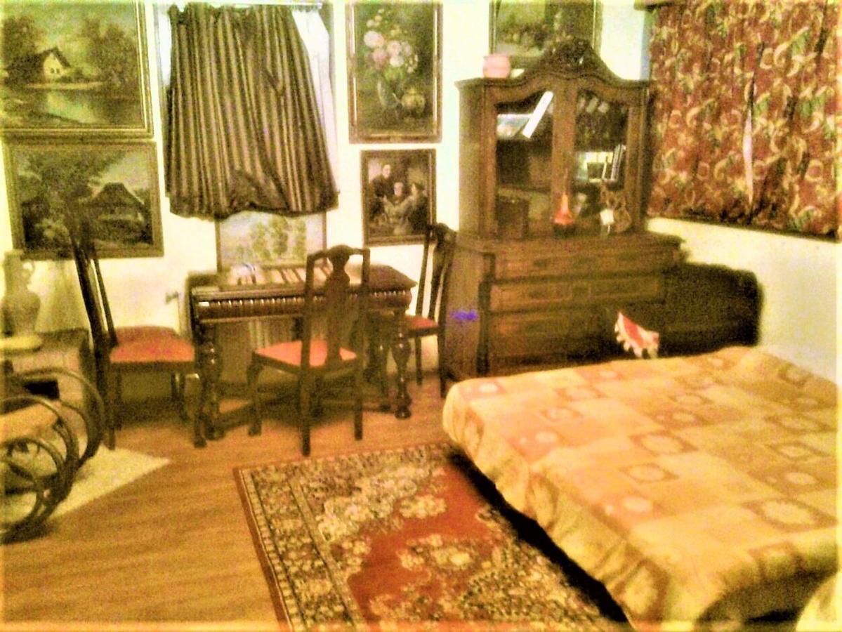 Leyla Guesthouse Castel براشوف المظهر الخارجي الصورة
