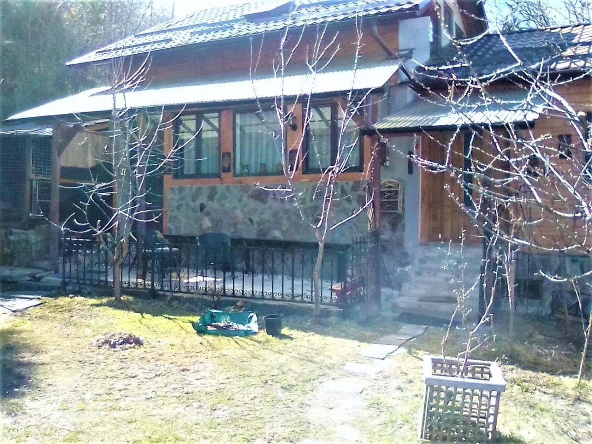 Leyla Guesthouse Castel براشوف المظهر الخارجي الصورة