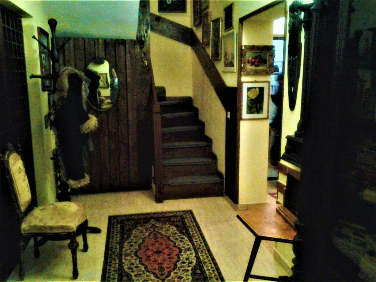 Leyla Guesthouse Castel براشوف المظهر الخارجي الصورة