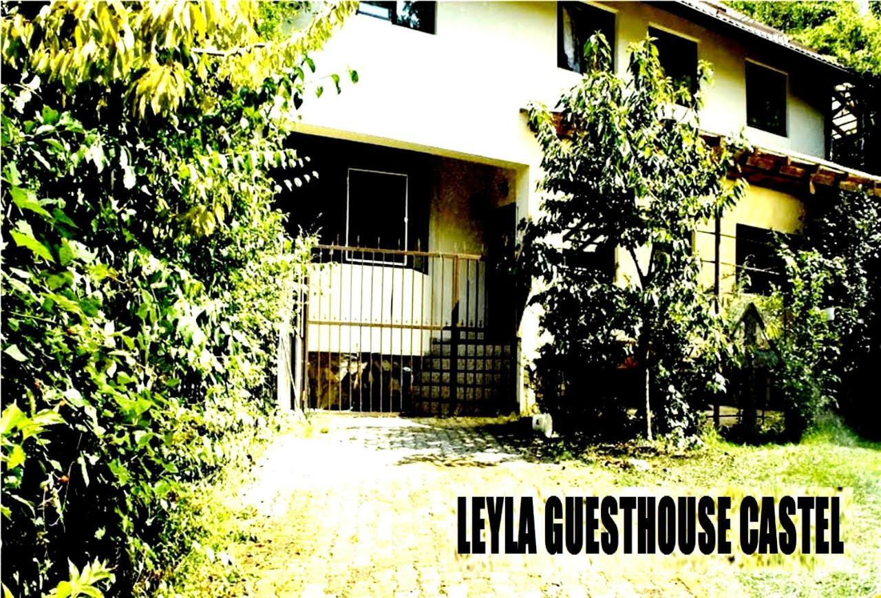 Leyla Guesthouse Castel براشوف المظهر الخارجي الصورة