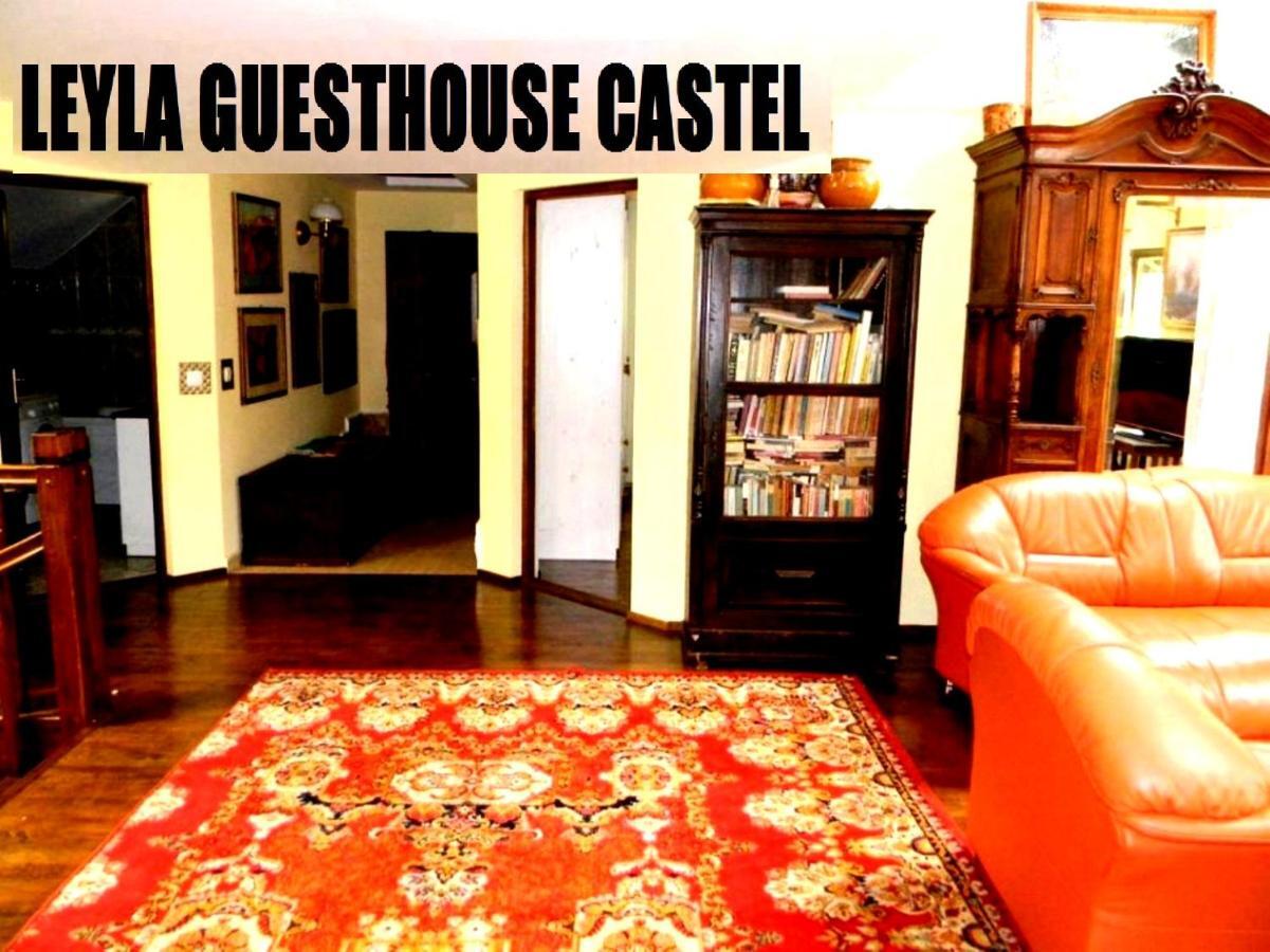 Leyla Guesthouse Castel براشوف المظهر الخارجي الصورة