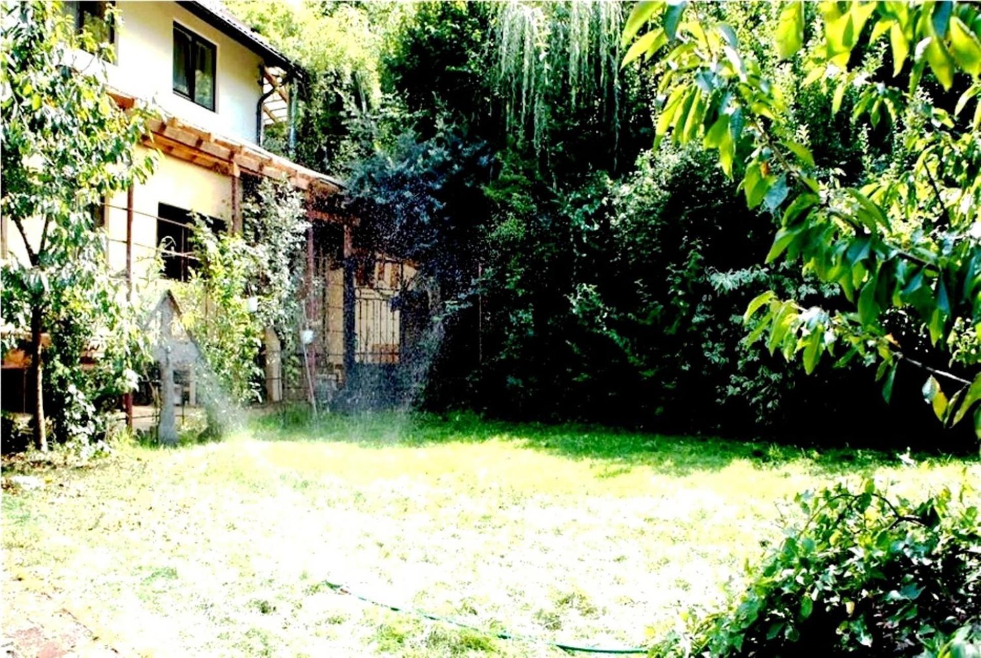 Leyla Guesthouse Castel براشوف المظهر الخارجي الصورة