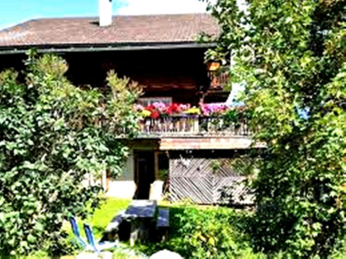 Leyla Guesthouse Castel براشوف المظهر الخارجي الصورة