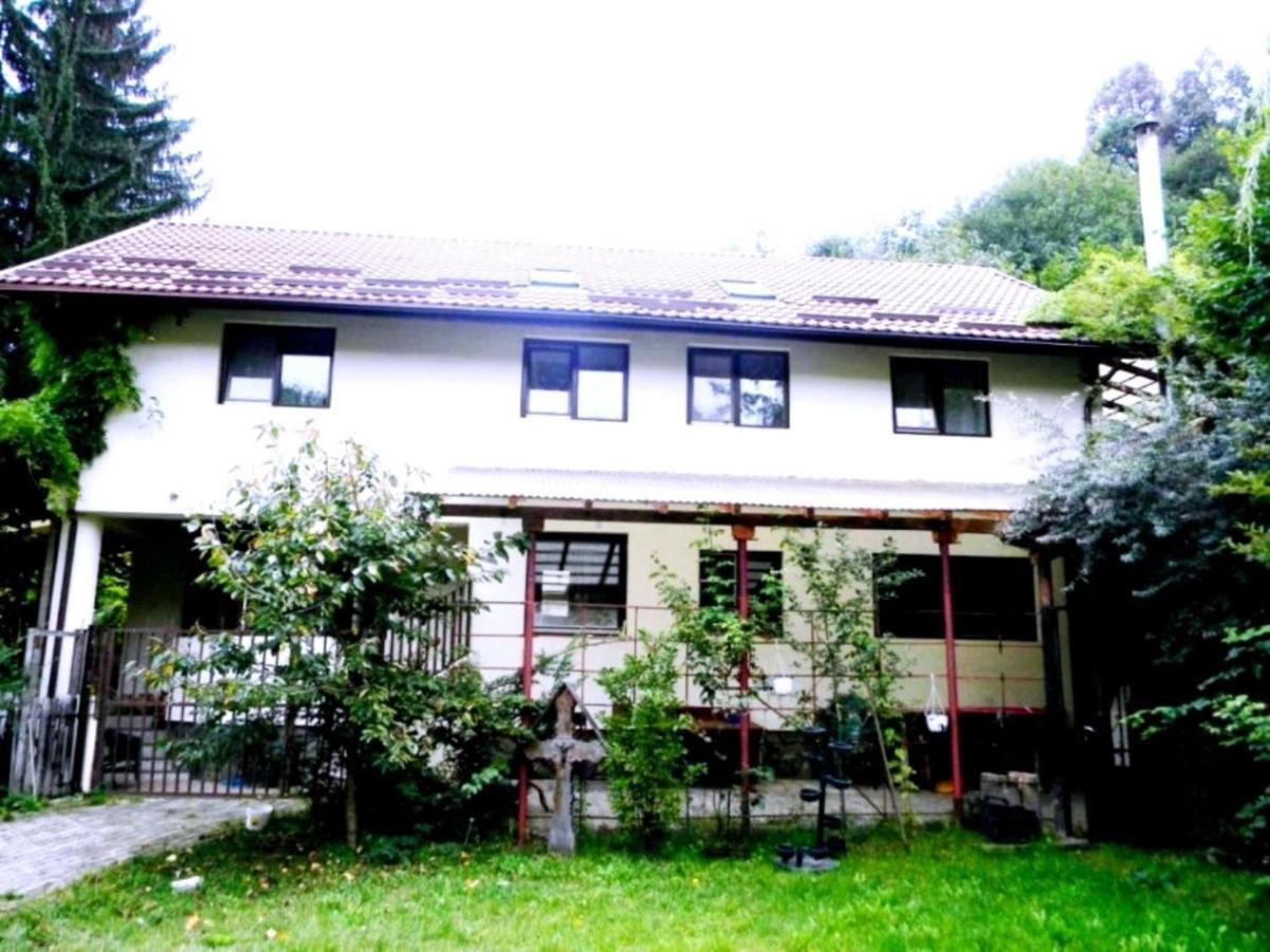 Leyla Guesthouse Castel براشوف المظهر الخارجي الصورة